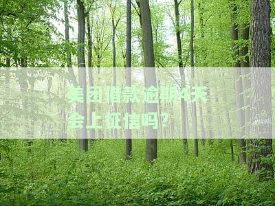 美团借款逾期4天会上征信吗?