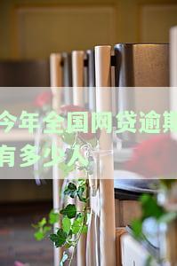 今年全国网贷逾期有多少人