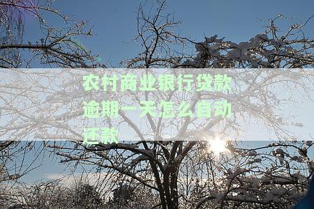 农村商业银行贷款逾期一天如何自动还款？