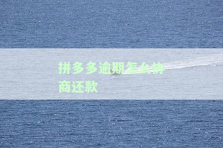 拼多多逾期怎么协商还款的意思及卡号
