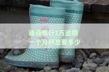 建设银行欠款1万逾期三个月会走了吗，怎么办？
