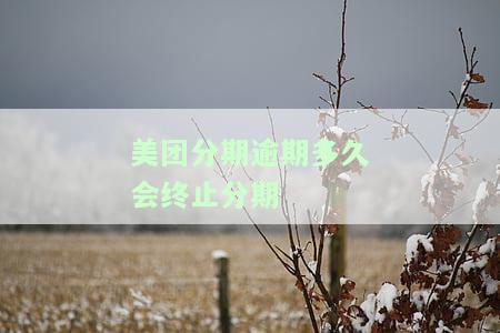 美团分期逾期12天客服说要撤销是真的吗，会被报警吗？
