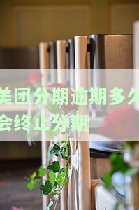 美团分期没还，是否可以继续借款并使用已还款？