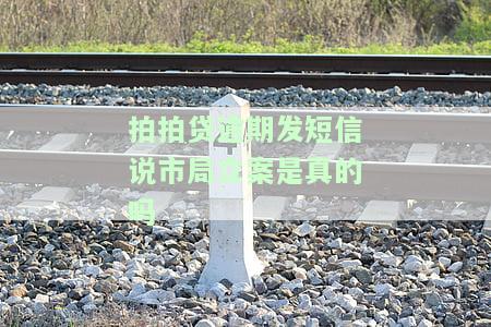 拍拍贷逾期发短信说市局立案是真的吗