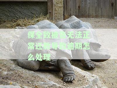 保全致被告无法正常还款导致逾期怎么处理