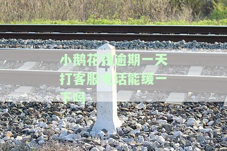 小鹅花钱逾期三天天还能再借吗，上征信吗？