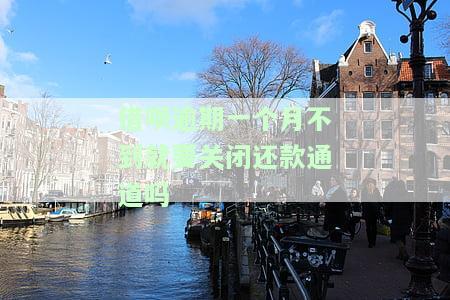 借呗逾期一个月不到就要关闭还款通道吗，怎么办？