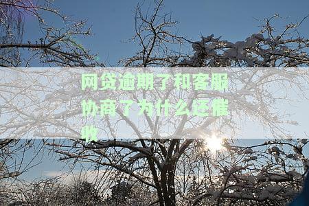 网贷逾期了和客服协商了为什么还催收呢，怎么办？