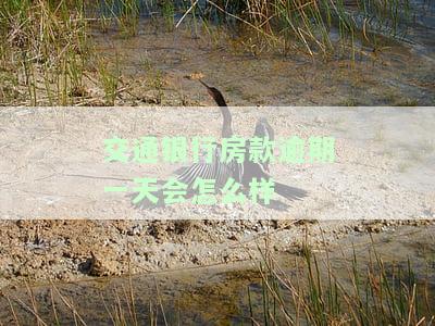 交通银行房贷还款逾期一天补救办法及信用影响