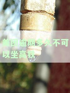 美团逾期多久不可以坐高铁