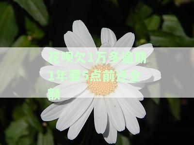 花呗欠1万多逾期1年要5点前还全额吗，后果和罚息是多少？