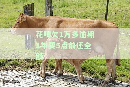 花呗欠1万多逾期1年要5点前还全额利息吗？