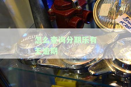 怎么查询分期乐总欠款和总借款额？