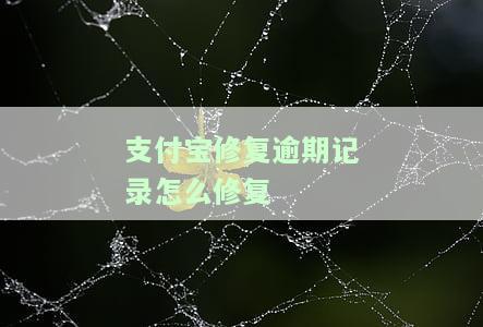 支付宝修复逾期记录修复哪一条信息及其生效时间
