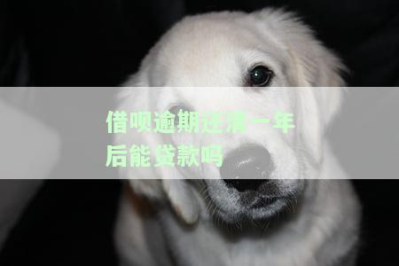 借呗逾期一年了,还完了还能用以后吗，会影响征信吗？