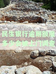 民生银行逾期会立案,会被公安局逮捕吗？