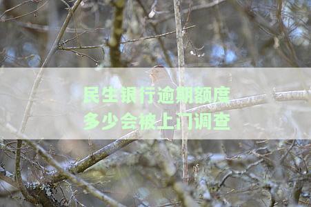 民生银行逾期正常走流程及解决方法