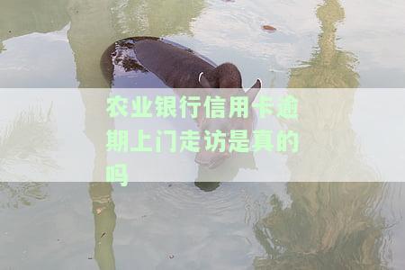 农行信用卡上门办卡配刷卡机