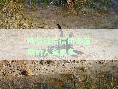 2020年疫情影响信用卡逾期怎么应付催收