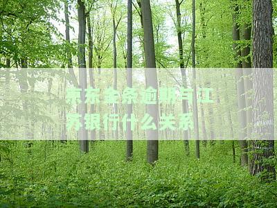 京东金条江银行逾期一天上征信有影响吗？怎么办？