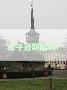 瓜子逾期起诉？
