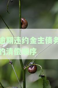 逾期欠款违约金计算及相关信息