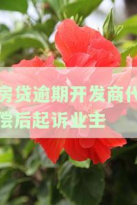 房贷逾期开发商代偿后起诉业主