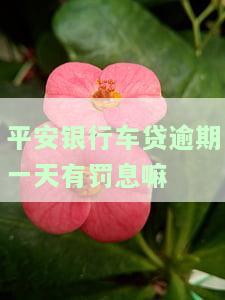 平安银行车贷逾期一天有罚息嘛，怎么办，多少钱？
