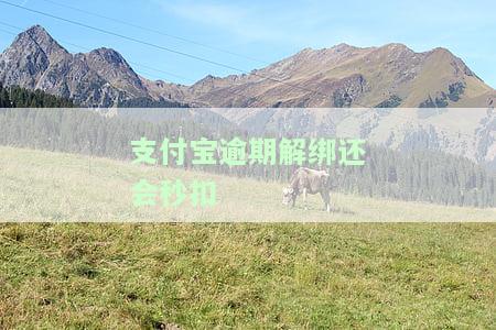 支付宝显示网贷逾期解除网贷绑定支付宝的方法及影响分析