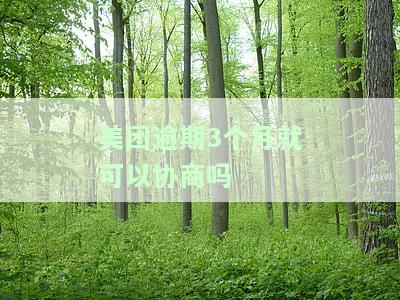 美团逾期3个月就可以协商吗