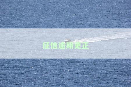 征信逾期更正