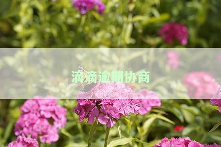 滴滴协商还款电话，滴滴协商还款被拒绝怎么办，滴滴金融怎么协商还款
