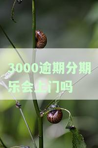 分期乐3000逾期超过100天会怎么样，逾期90天以上会怎么样，逾期300天利息2000多算高利贷吗，逾期153天怎么算利息