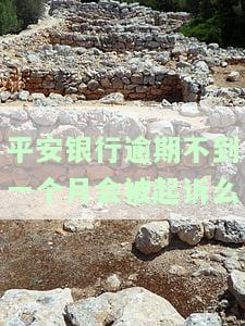 平安银行逾期多久真的会被起诉吗？
