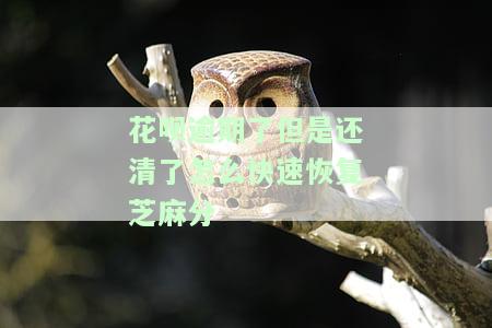 花呗逾期还清了多久能恢复之前的芝麻信用？