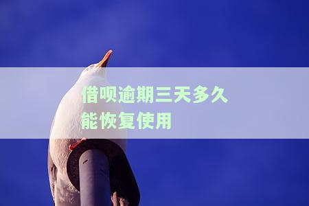 借呗逾期3天后怎么办