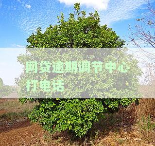 网贷逾期发到当地调解办公室的短信是否有效？