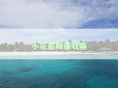 小花催收电话多少及持续时间