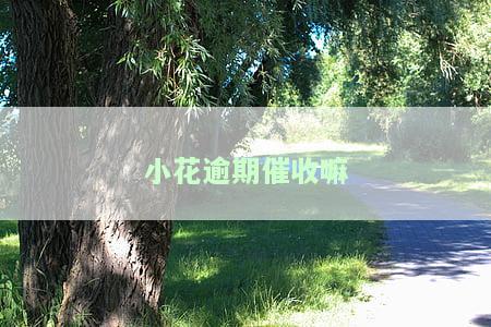 小花逾期催收嘛
