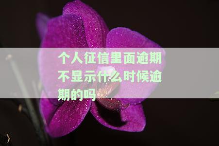个人征信查询逾期怎么显示及征信报告显示位置