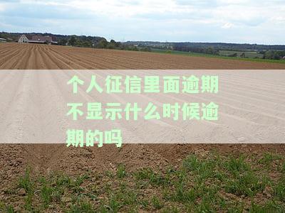 征信报告看不到具体逾期时间的解决方法