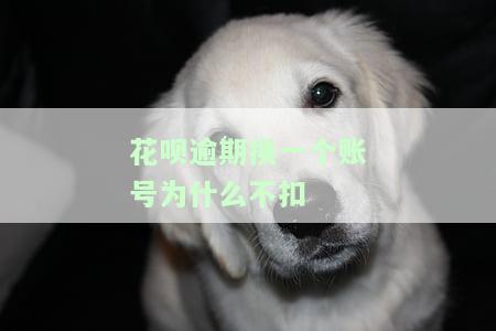 支付宝花呗逾期换小号会扣钱吗？怎么办？