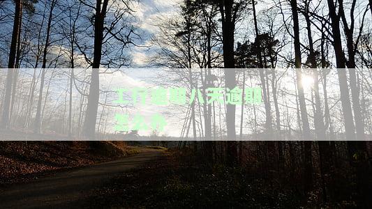 工商银行逾期还款怎么办？