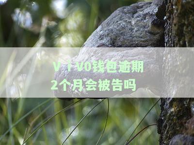 ⅴiv0钱包逾期催收上门，是否会上征信？
