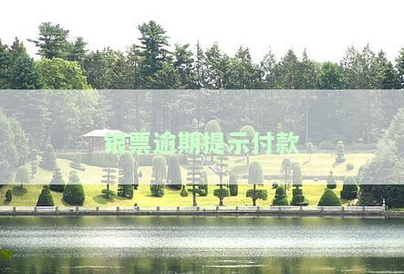 银票逾期提示付款被拒付