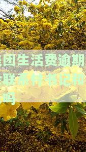 美团生活费逾期了会联系村书记和村长吗