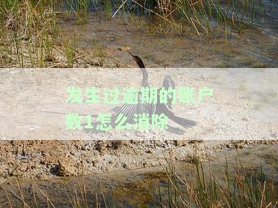 发生过逾期的账户数7次能房贷吗