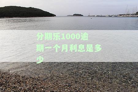 分期乐逾期一千多变两千多算高利贷吗？