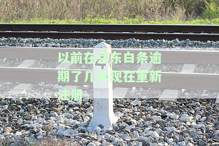 以前在逾期了几年现在重新注册