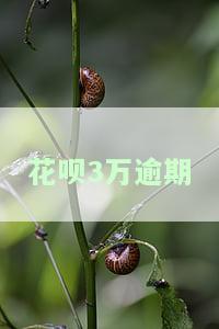 花呗3万逾期多久会被起诉会有什么后果，逾期3年还完需要多久？